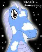 neopets.com Tashni