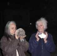 contact-orbs.com Taskara