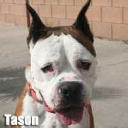 Tason