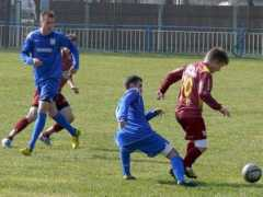 Tasovic