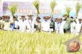 antaranews.com Tasrif