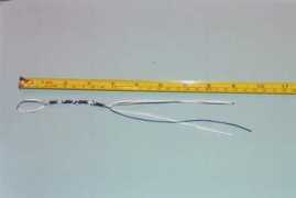 thesimpletruth.net Tassel