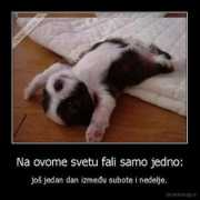 zoki.com Tatjanka