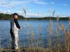 saaristo.ts.fi Tattinen