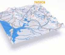 Tatuca