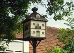 Taubenhaus