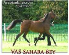arabianlines.com Taurah
