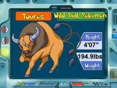 serebii.net Tauros