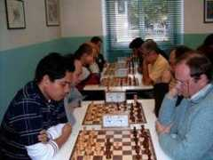 cavalliesegugi.com Tavecchia