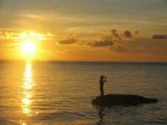 Tawi