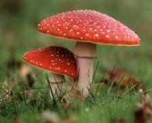 wildlifewoodlands.co.uk Taxation