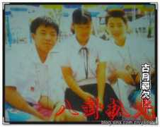 Tayea