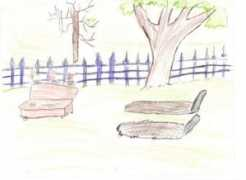 projects.cbe.ab.ca Taylorh