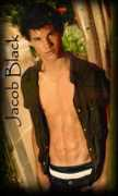 mytwilight.bloggagratis.se Taylos