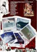 frussurf.com Taylur