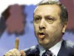 fr.toonpool.com Tayyip