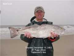 fishtradewinds.com Tbob