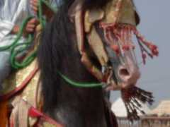 res.se Tborida