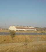 panoramio.com Tcdd