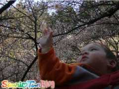 blog.sanriotown.com Tchan