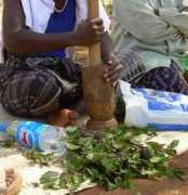 africanewsonline.com Tchat