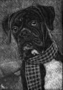 mistymeadowsfarmandkennel.com Tching