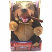 Tdog