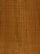 Teak