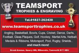Teamsport