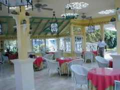 7daysinparadise.com Tearoom