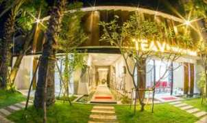 Teav