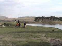 wellho.net Tebay