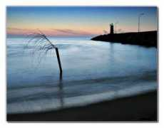 myolympus.org Tecer