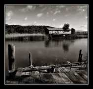 myolympus.org Tecer
