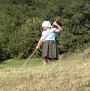 hayinart.com Tedding