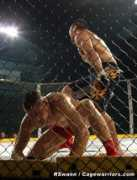 thefightgame.tv Tedoradze