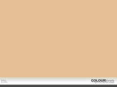 colourlovers.com Tedys