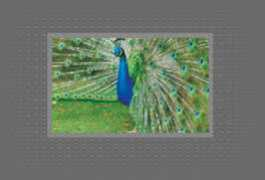 royaleheritage.com Teerthraj