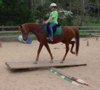 Teeter