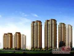 xm.focus.cn Tefang