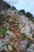 Tefen