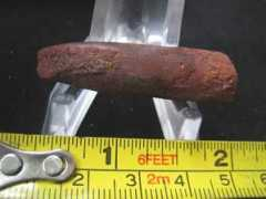 fossilshk.com Tegana