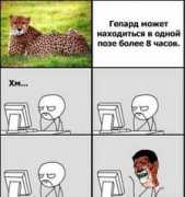 Tegos
