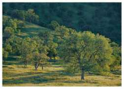 Tehachapi