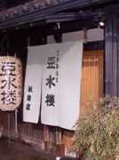 tousuiro.com Tehere
