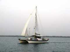 wharram.com Tehini