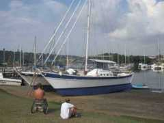 wharram.com Tehini