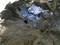 blog.ecolur.org Tehmine