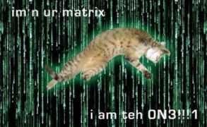 erroraccessdenied.com Tehone