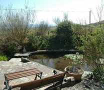 Teich